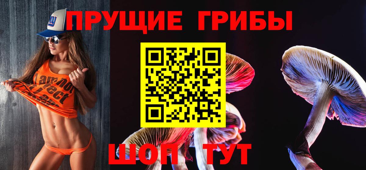 Златоуст  Псилоцибиновые грибы мухоморы  Вход с VPN 